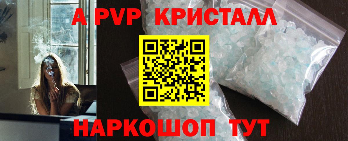 Альфа ПВП СК КРИС Элиста