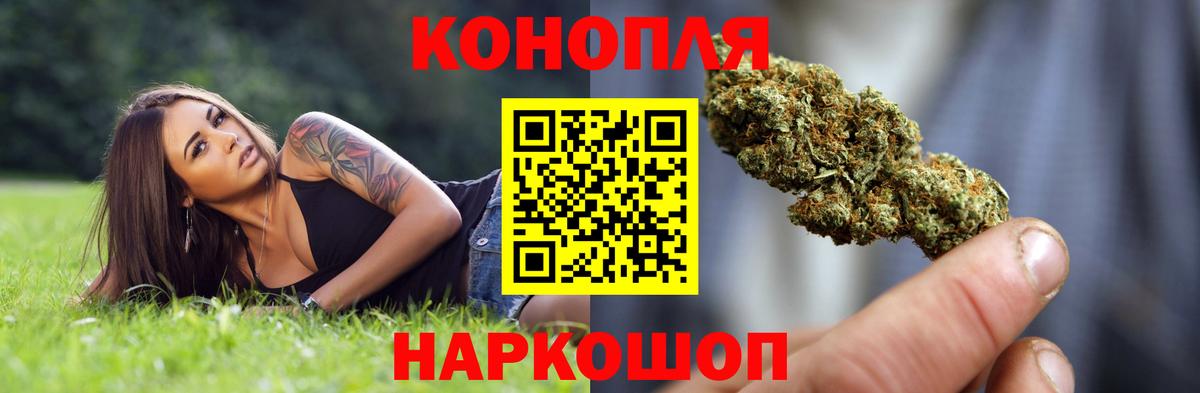 Элиста  Бошки Шишки планчик  Вход с VPN  Бошки Шишки план 